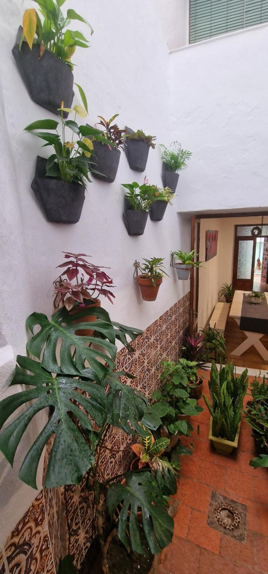 La Casa De Abuela Habitaciones Con Bano Compartido En El Casco Historico De Frigiliana "Solo Adultos" Екстер'єр фото
